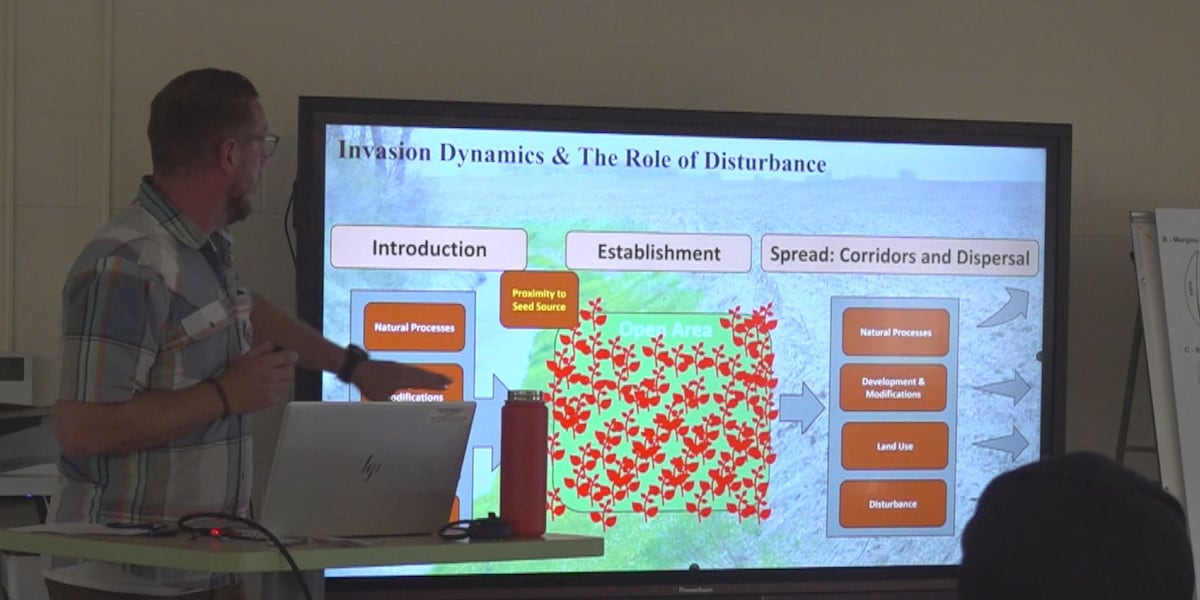 Maine Unites Against Invasive Plant Species