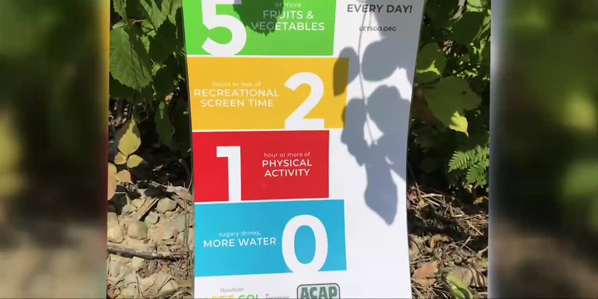 ACAP Receives Recognition for Let’s Go 5210 Program