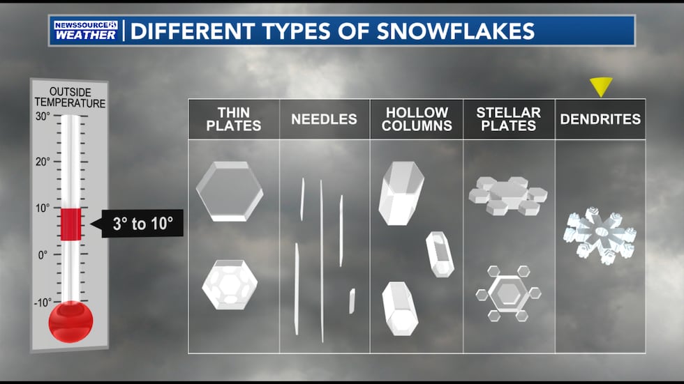 The Different Types of Snowflakes