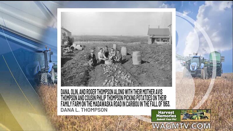 Follow-Up Friday: DFAS Limestone and Loring Revitalization Nearly 30 ...
