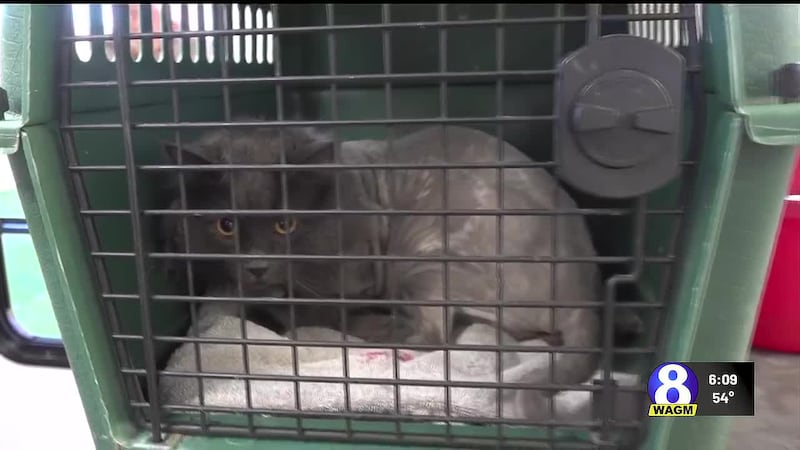 Vets traveled nearly four hours from Winthrop to reach the county